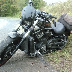 2010-10-03 13.39.12